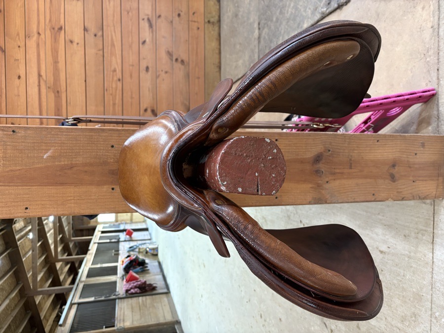 Childeric 16.5 Close Contact Saddle