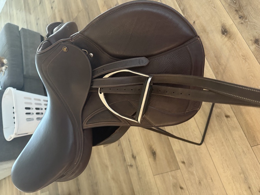 OVATION | 17.5" | 6" Tree Size | 2024