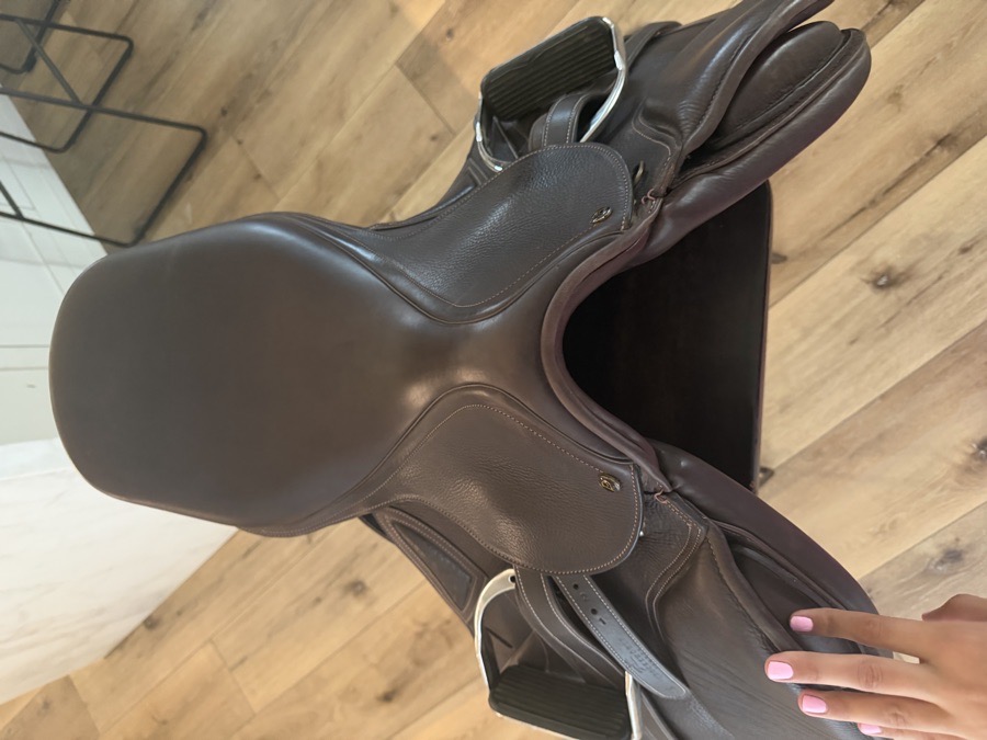 OVATION | 17.5" | 6" Tree Size | 2024