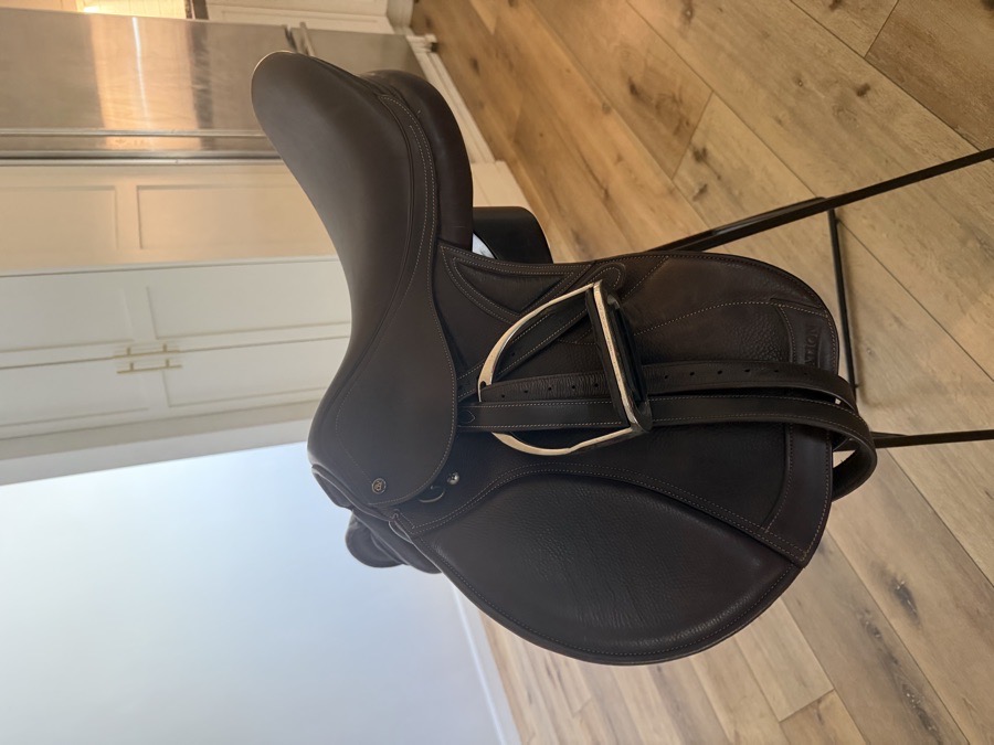 OVATION | 17.5" | 6" Tree Size | 2024
