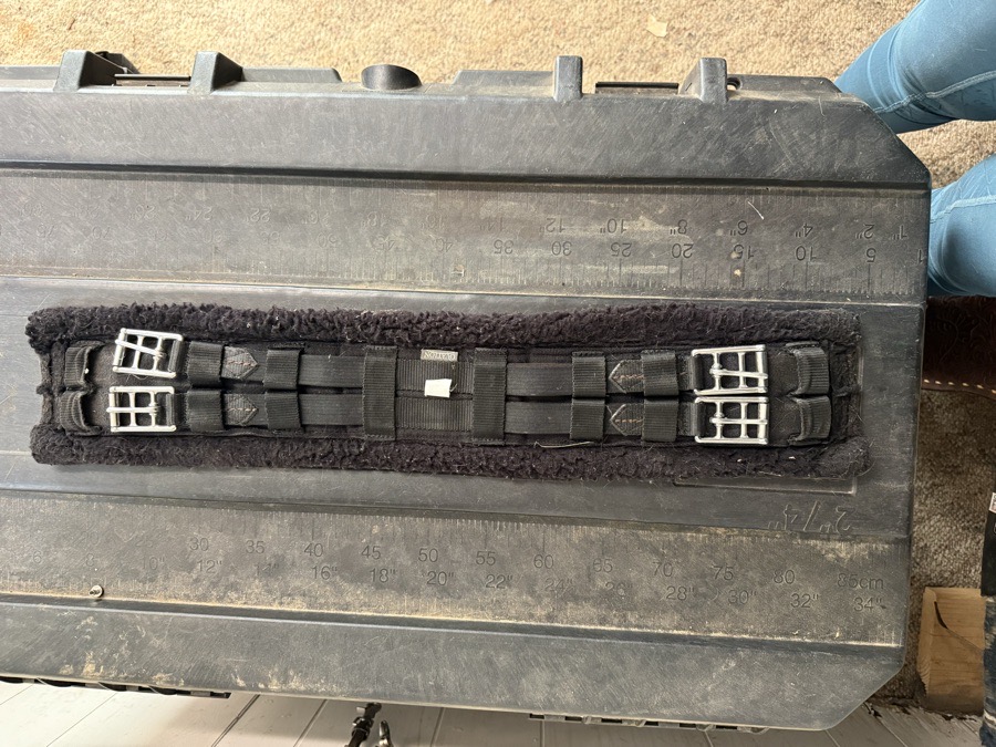 OVATION Dressage Girth