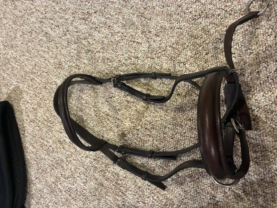 Dr Cook padded bitless Bridle