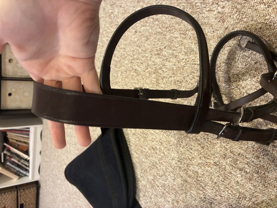 Dr Cook padded bitless Bridle