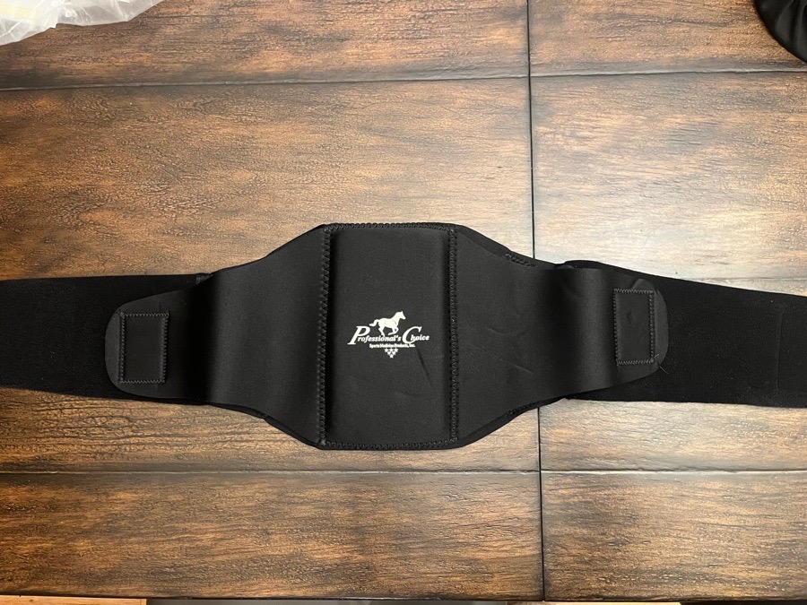 Professional’s Choice Back Support Brace SMALL
