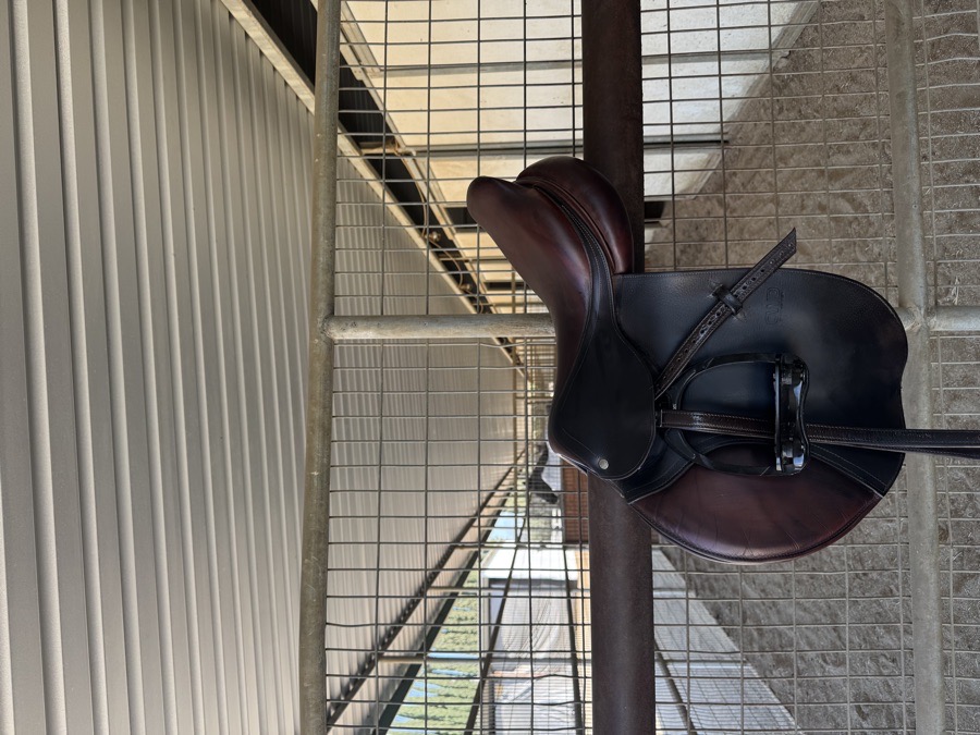 CWD SEO2 Saddle | Brown Leather Horse English Jumping Saddle