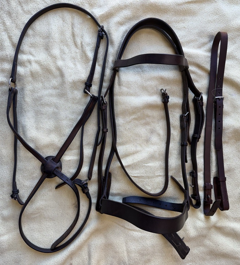 horse hunt bridle with extras