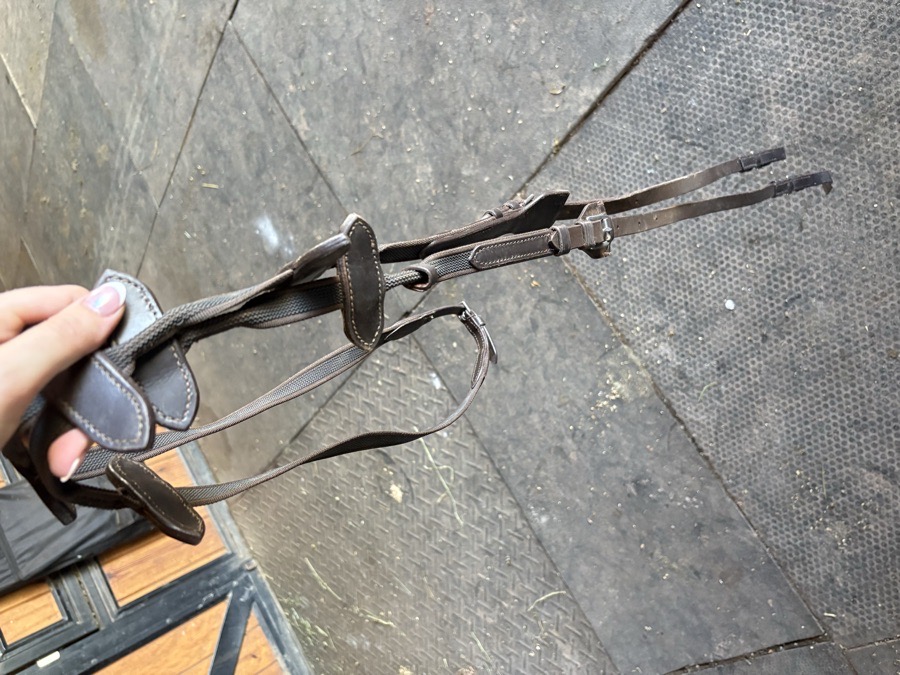 Correct Connect reins 