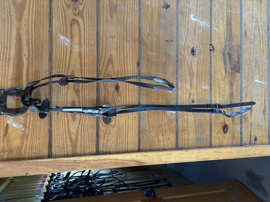 Correct Connect reins 