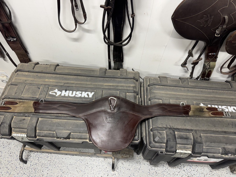 CWD Belly Guard Girth
