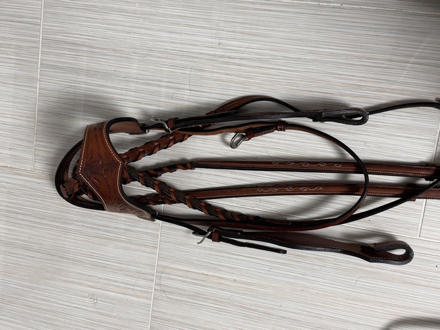 Western Headstall & Braided Reins