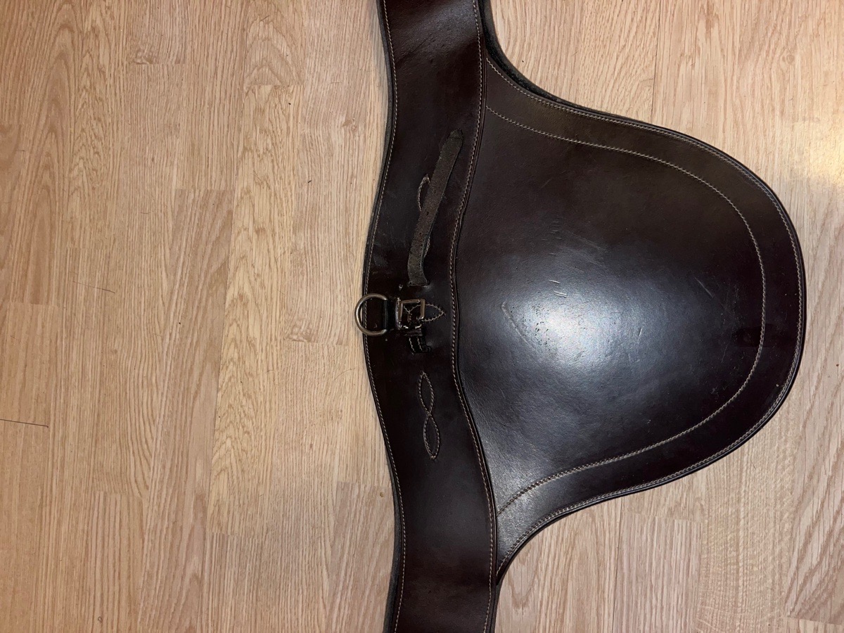 Equifit Anatomical Bellyguard