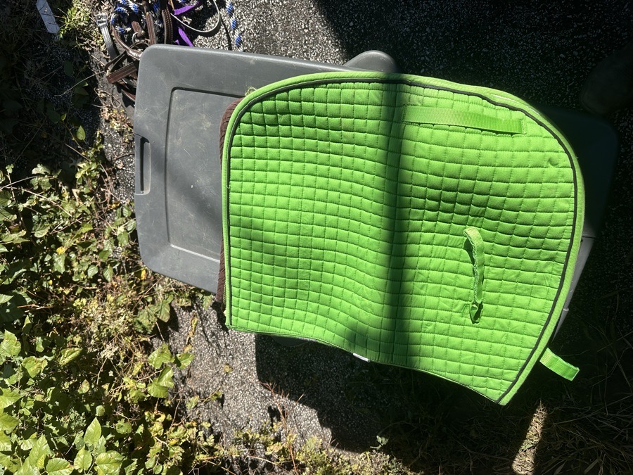 INTREPID SADDLE PAD