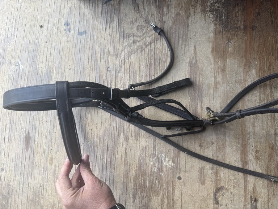 OverSized figure 8 bridle