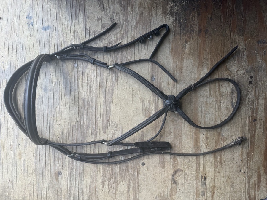 OverSized figure 8 bridle