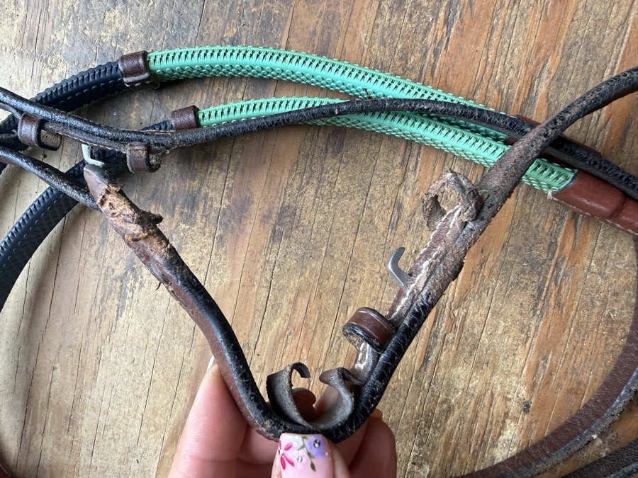 rainbow rubber reins
