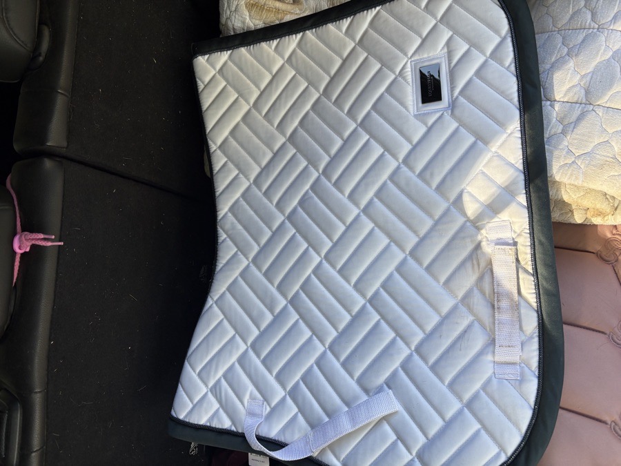 Equestrian Stockholm dramatic Monday jump pad