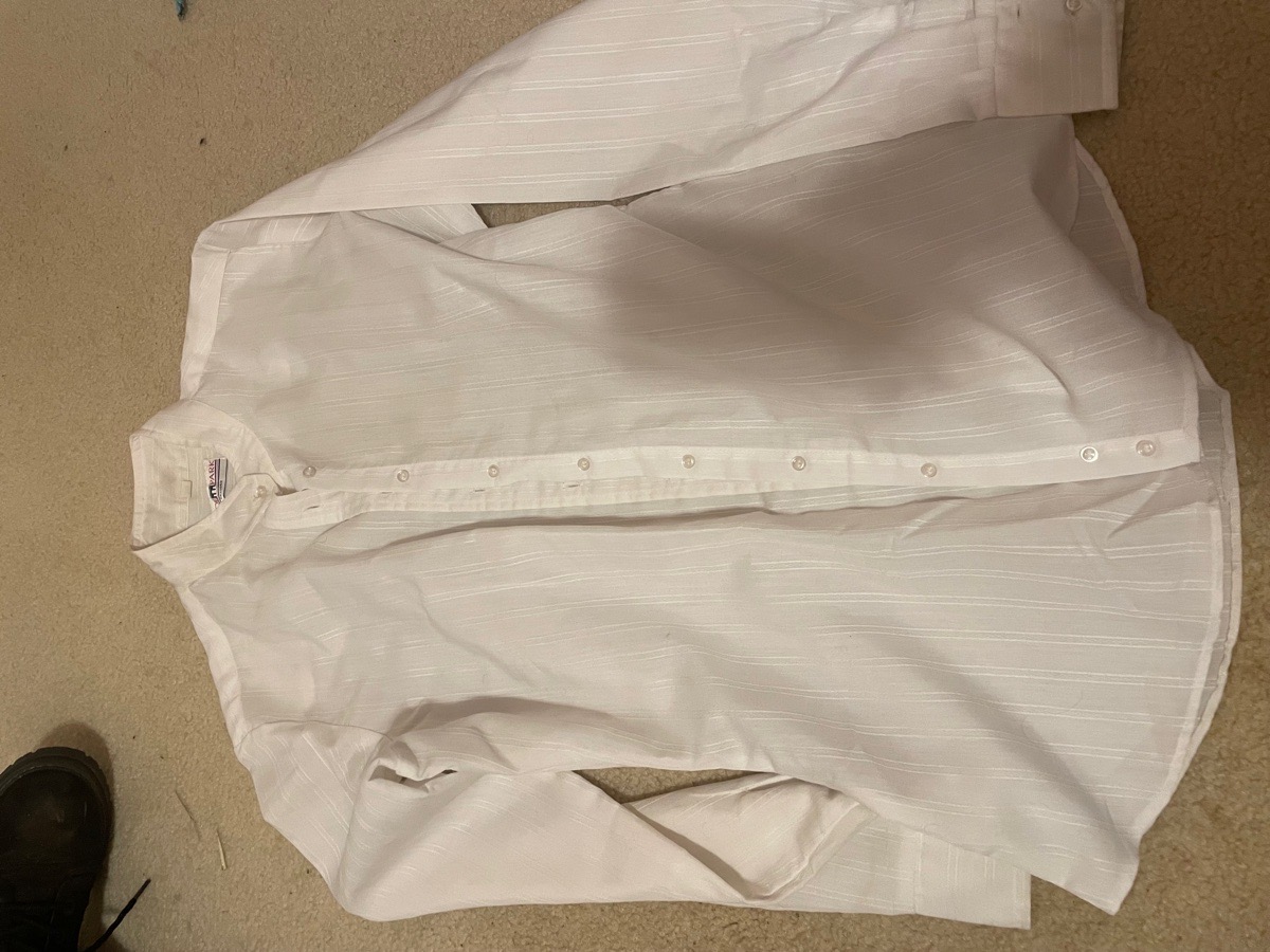 Ladies Pinstripe Dress Shirt