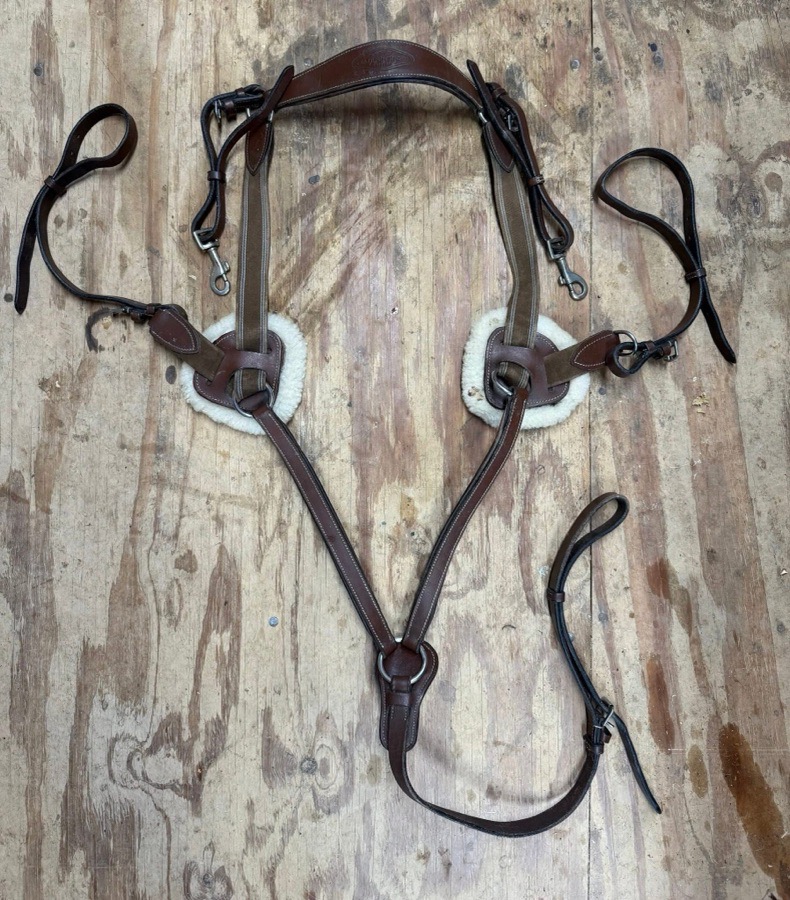 Cob HDR 5 point breastplate 