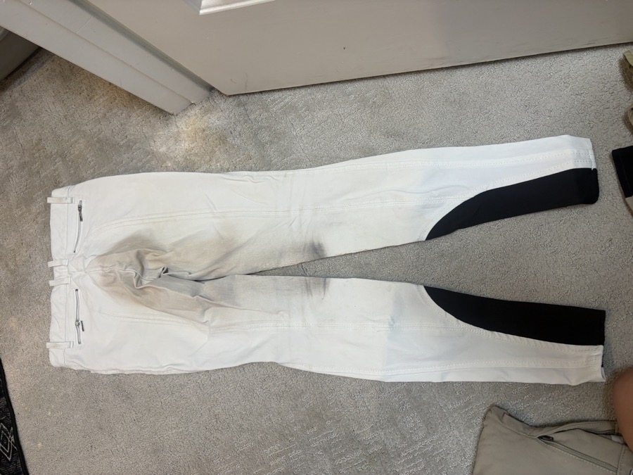 EQUILINE Riding Pants - Breeches