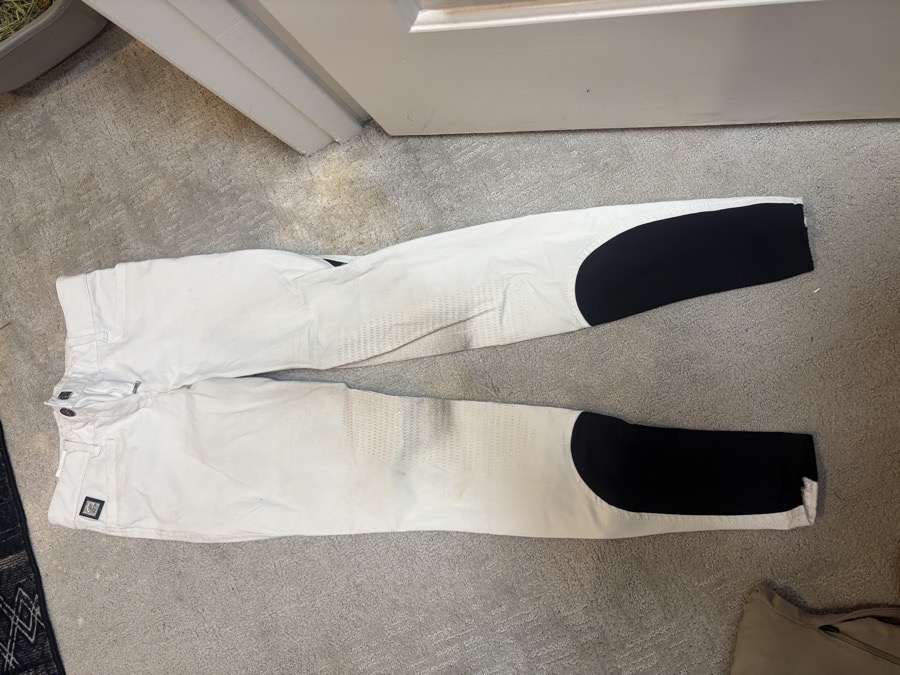 EQUILINE Riding Pants - Breeches