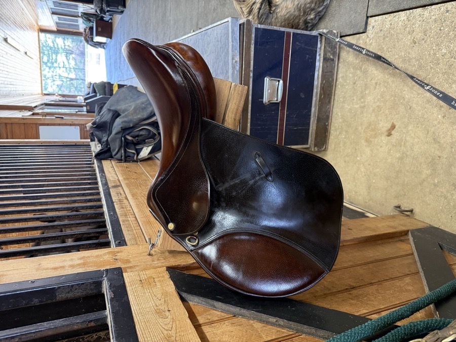 Union Hill Saddle 