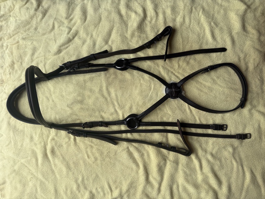 OverSized figure 8 bridle