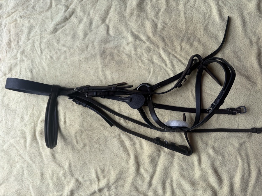 OverSized figure 8 bridle
