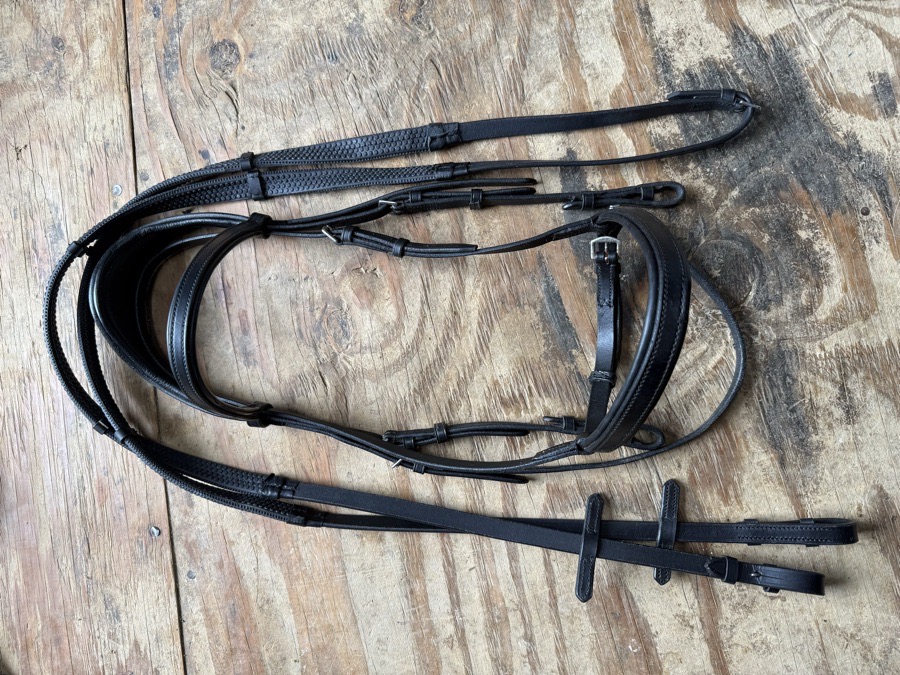 Collegiate full sized black bridle