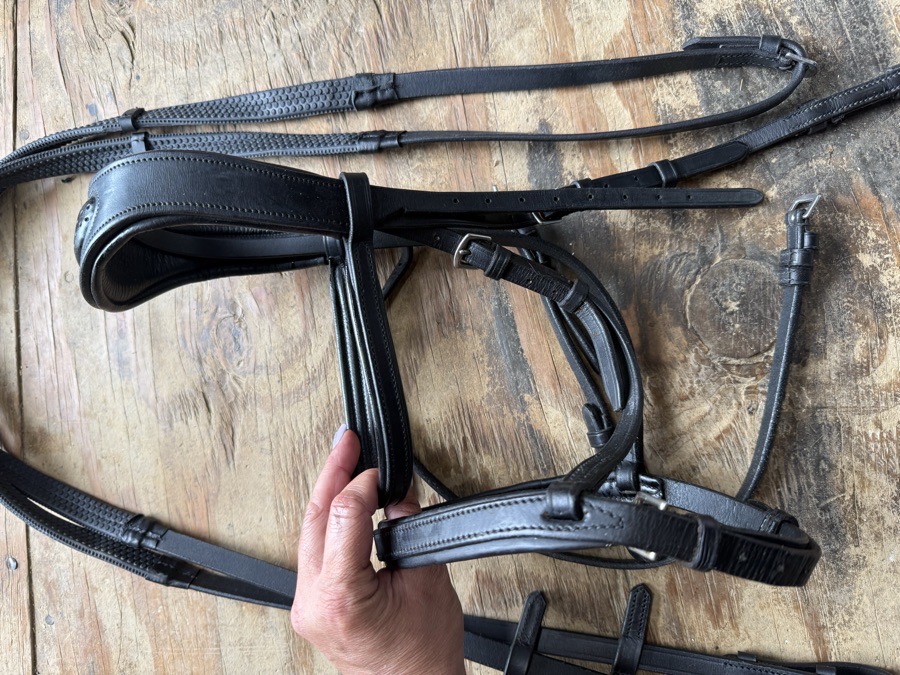 Collegiate full sized black bridle