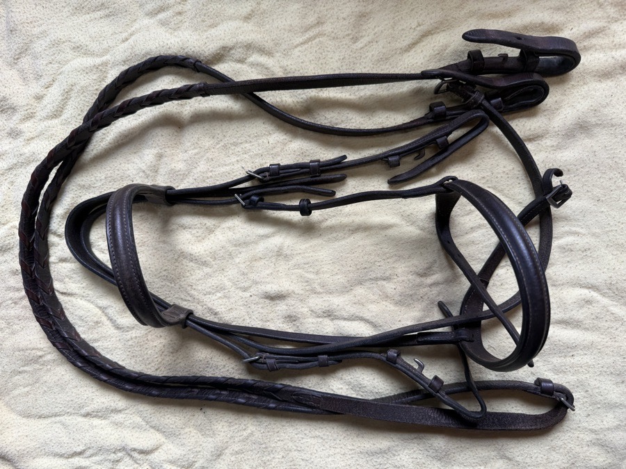 pony bridle and reins