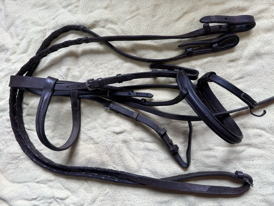 pony bridle and reins