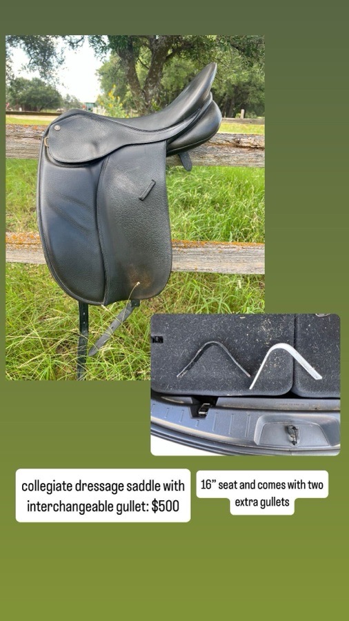 Collegiate dressage saddle