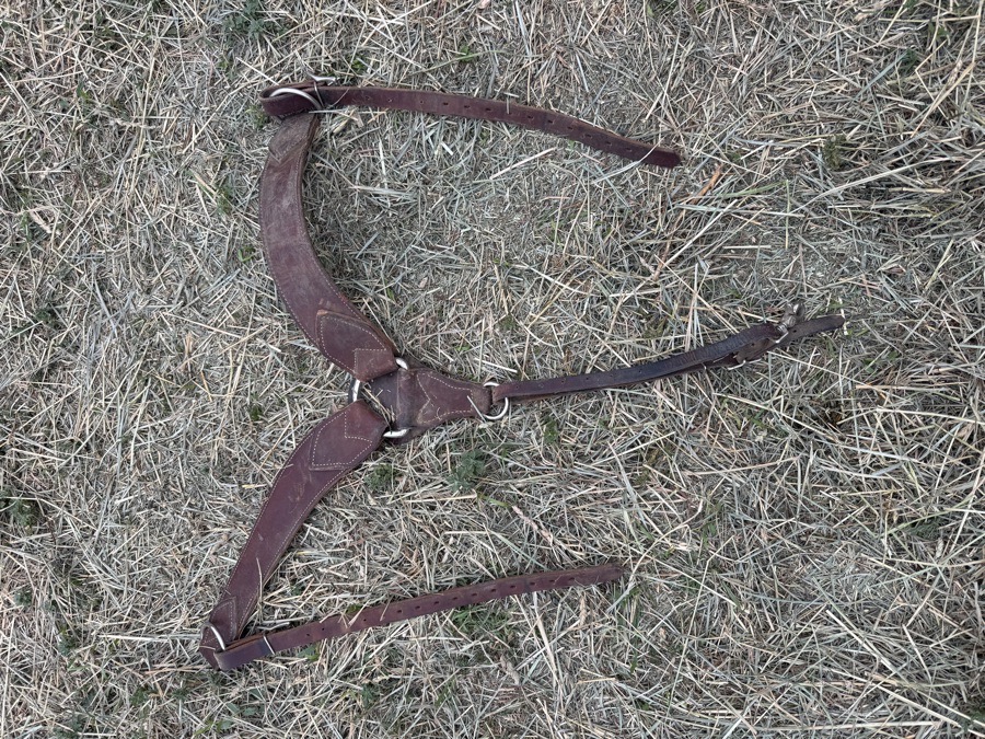 Breast/pulling collar western