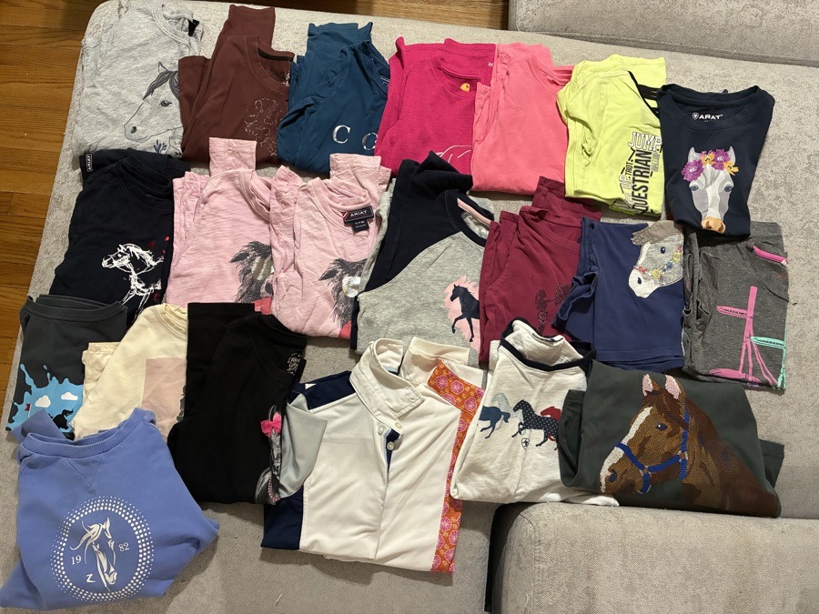 ARIAT Polo & Shirt S