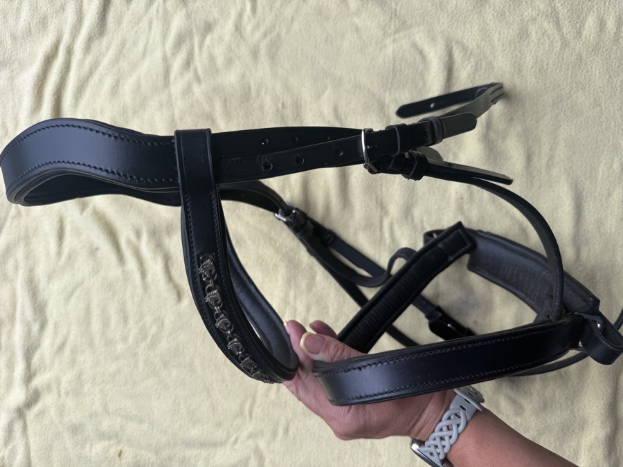 black full sized monocrown bridle