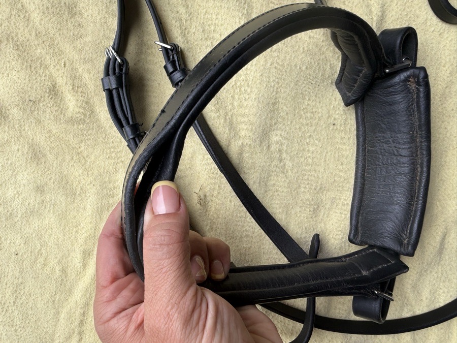 black full sized monocrown bridle