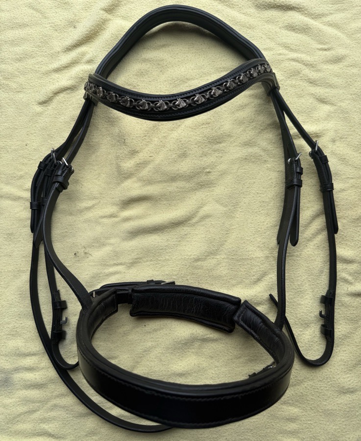 black full sized monocrown bridle