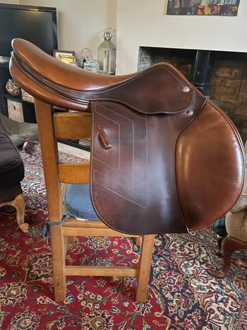 Renaissance Prestige Saddle