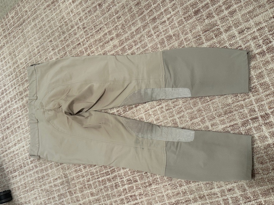 Ariat Olympia breeches