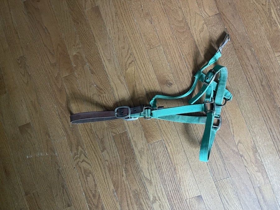 Green breakaway halter