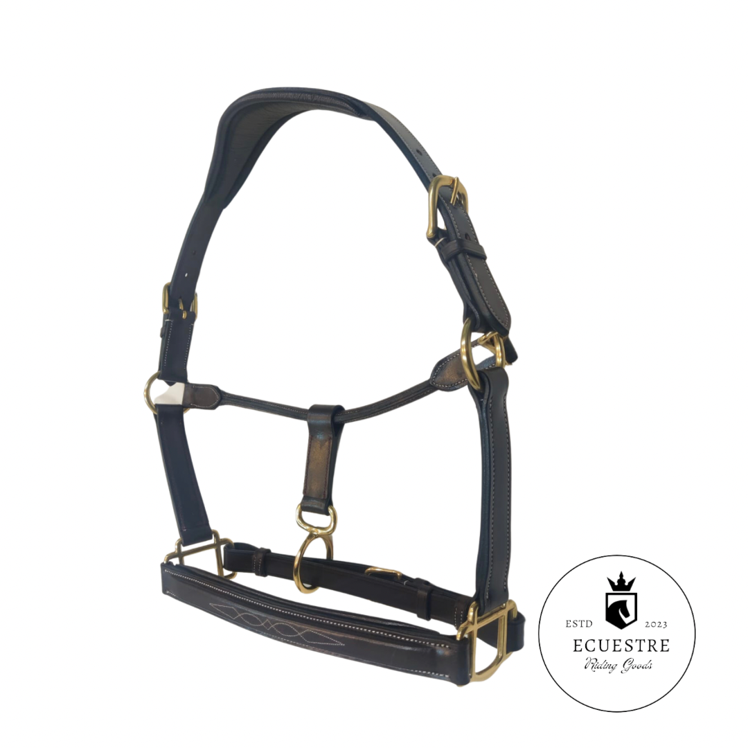 Premium leather halters