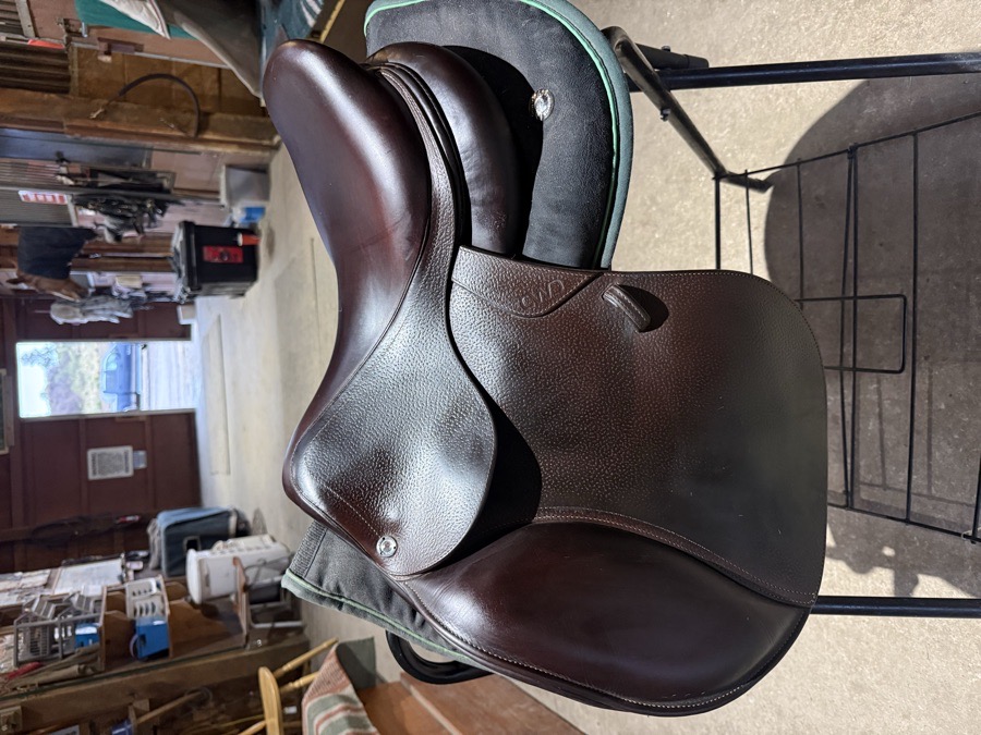 CWD SE01 | 17" 2 | 4.5" Tree Size | 2023