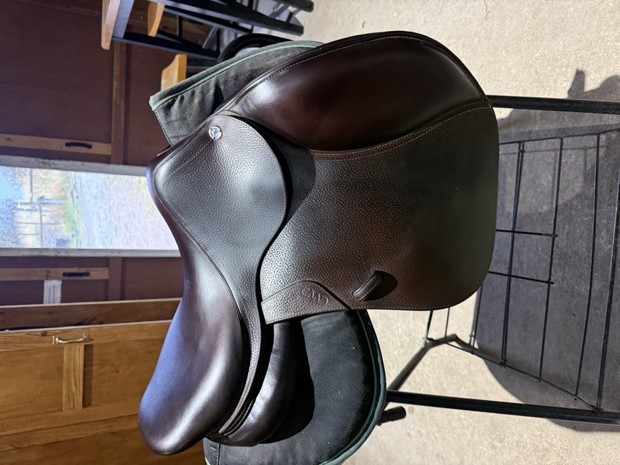 CWD SE01 | 17" 2 | 4.5" Tree Size | 2023
