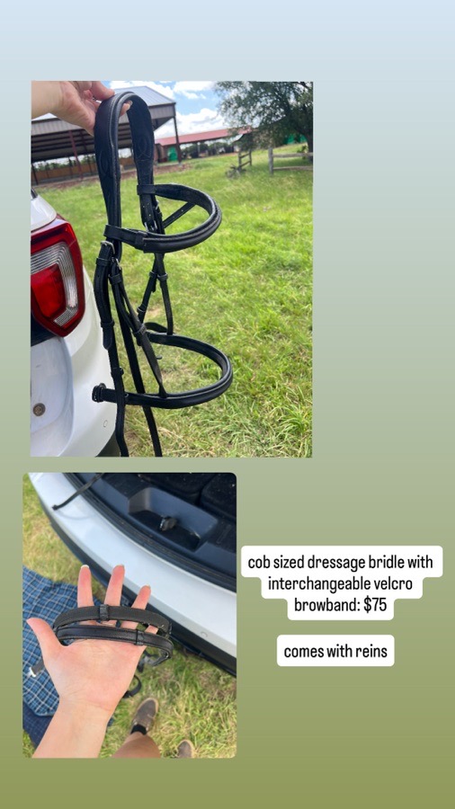 Black cob bridle with reins