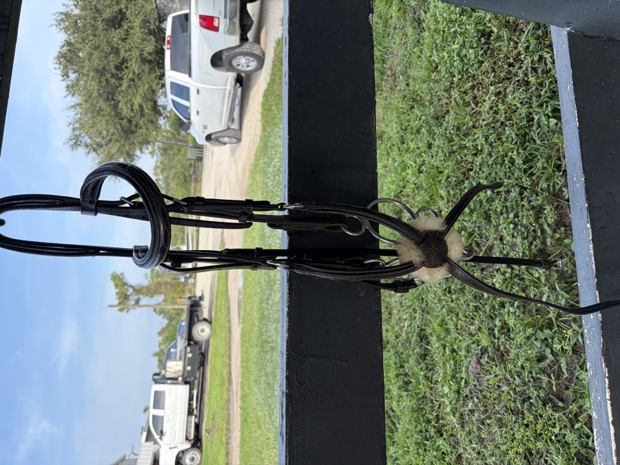 DOVER SADDLERY Figure 8 Bridle