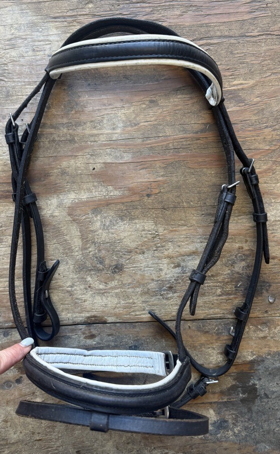 Black and white pony bridle