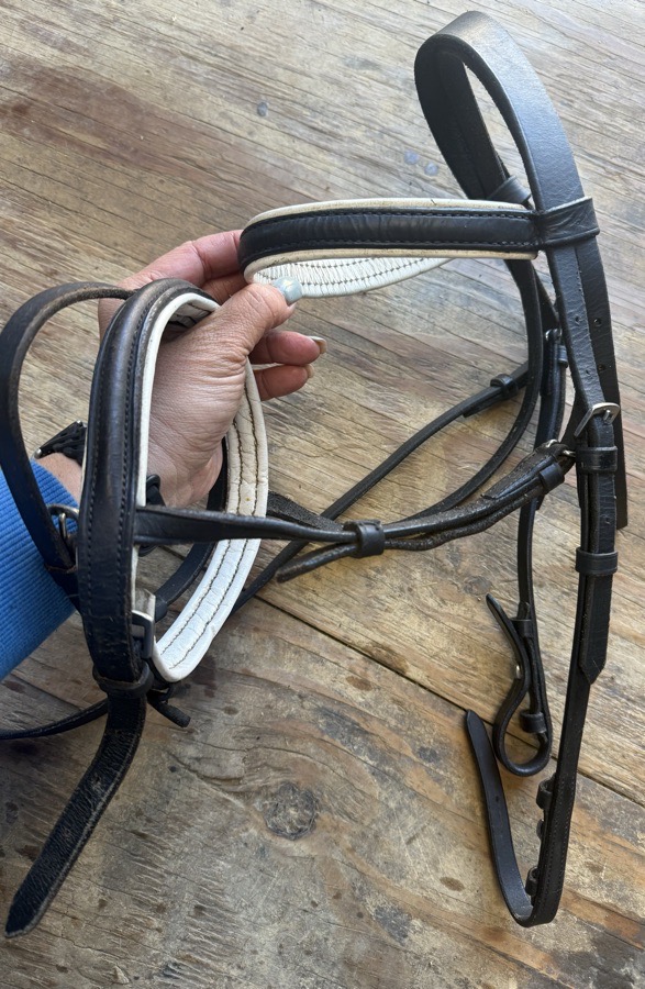 Black and white pony bridle