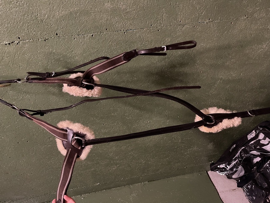 X/F Shires Rossano Breastplate 