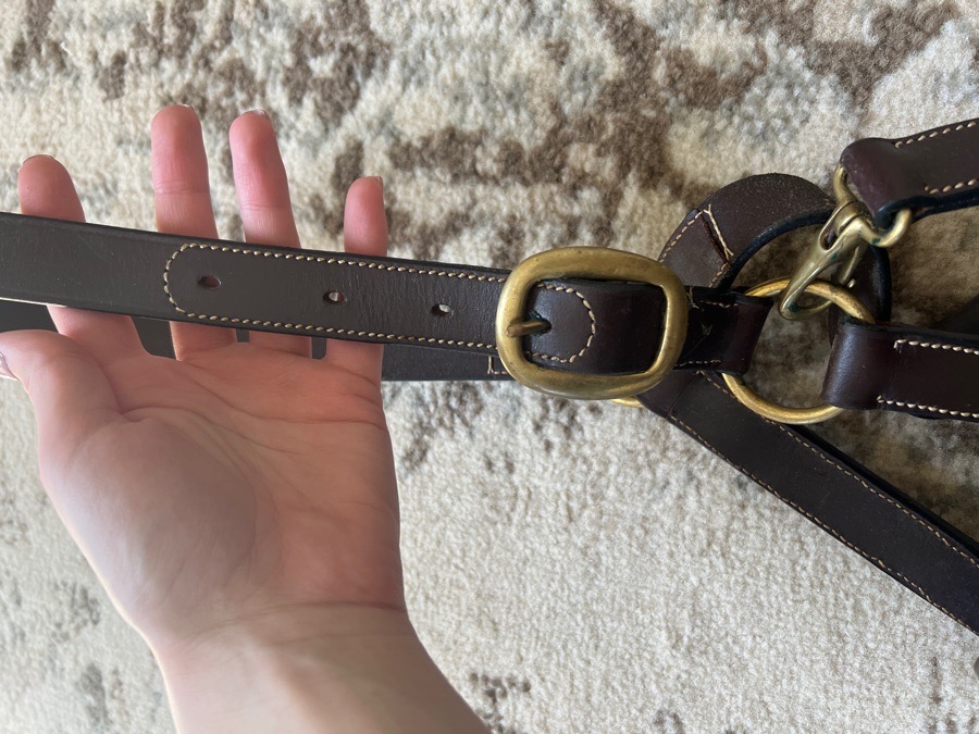 Leather Halter