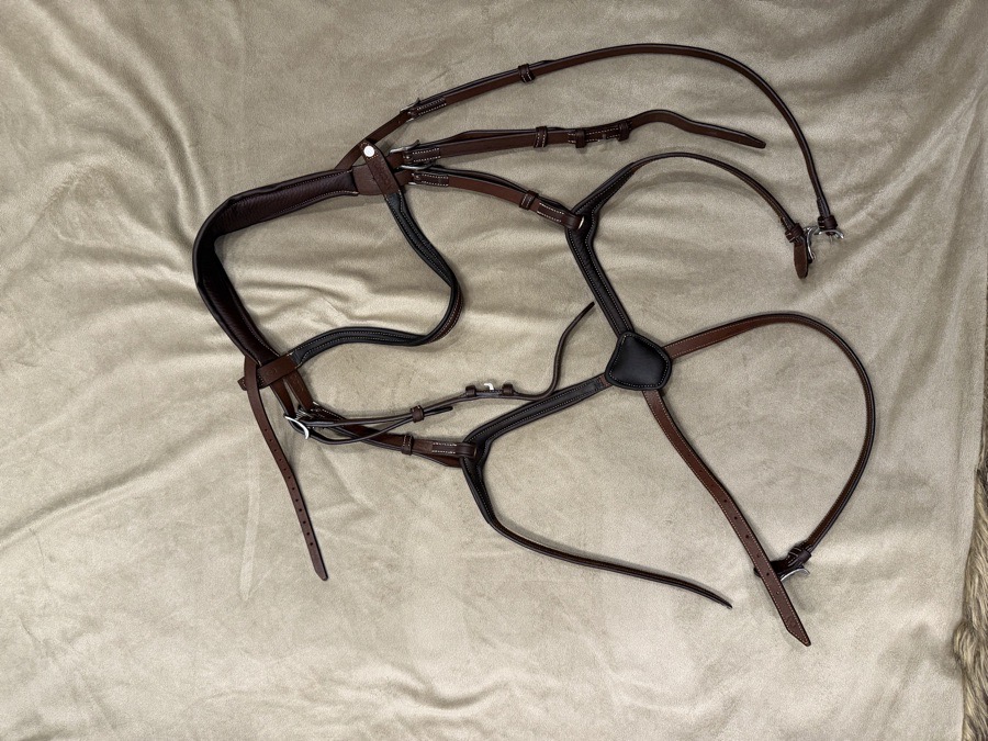 Antarès Origin anatomic figure 8 noseband bridle